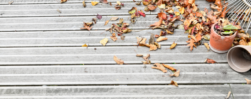 Terrasses feuilles